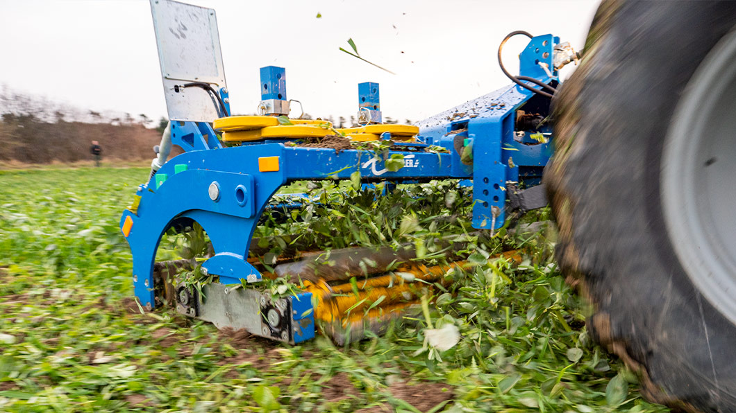 Treffler Agrartechnik Schneidwalze Messerwalze bei Zwischenfrucht Bearbeitung