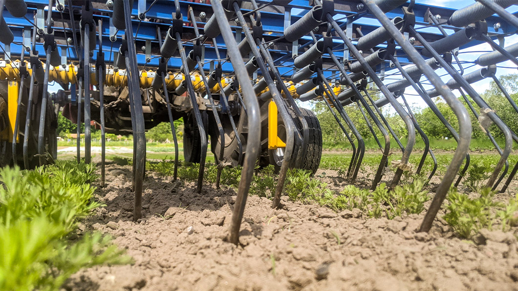 Treffler Agrartechnik Präzisions-Zinken-Striegel 1-teilig in Karotten