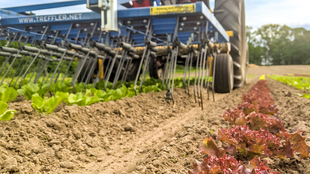 Treffler Agrartechnik Präzisions-Zinken-Striegel 1-teilig in Schnittsalat