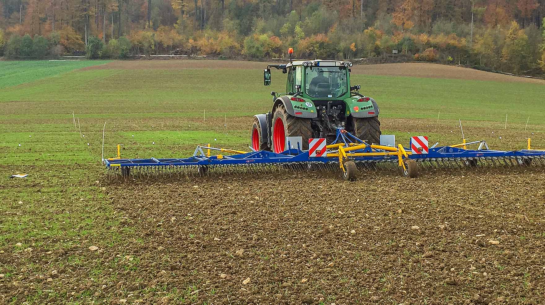 TREFFLER Striegel wirksam gegen Ackerfuchsschwanz