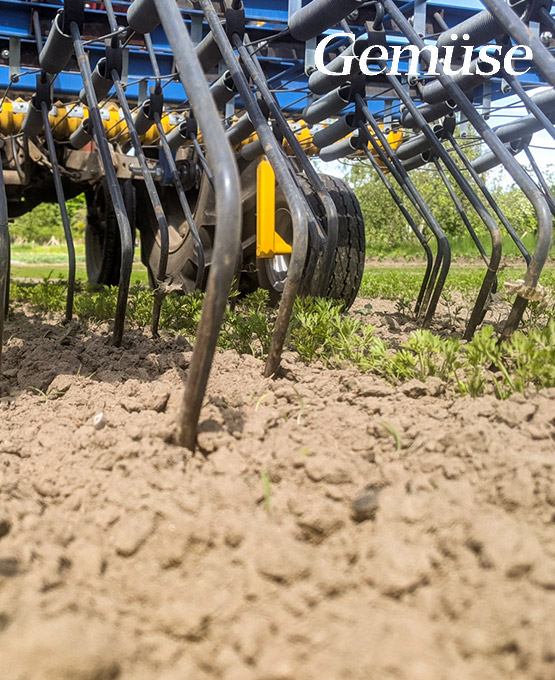 TREFFLER Organic Machinery mit dem Präzisions-Zinkenstriegel in Gemüse